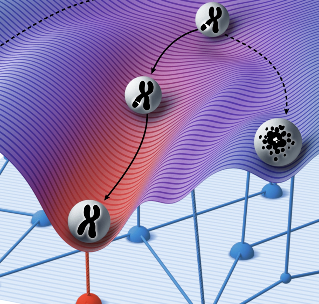 Karras Lab research image