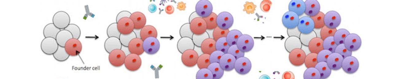 Chen Laboratory header