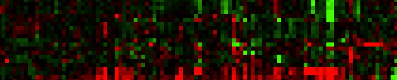 Protein at the cellular level
